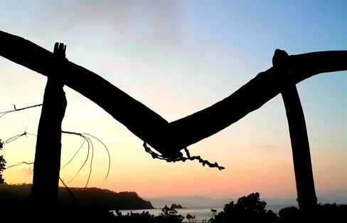 Otama Reserves Group