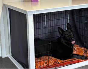 What to Put (and Not to Put) in Your Dog&rsquo;s Crate: A Complete Guide