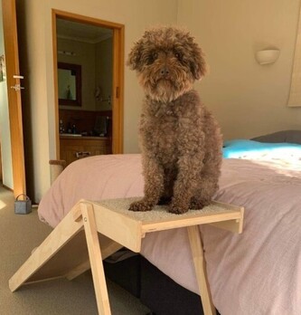 Why Every Dog Owner Needs a Custom-Made Dog Ramp: Comfort, Safety, and Independence