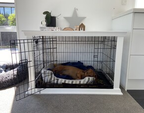 How to crate train your puppy in 8 simple steps