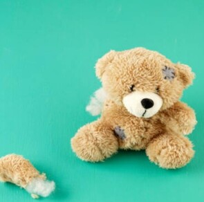 What not to put inside a crate?