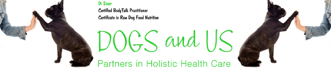 Di is a BodyTalk practitioner and a dog lover. Her practice is based in Tauranga but also offers distance sesions. She helps dogs and their owners by using biofeedback along with questions, creating a personalised session to assist self-healing.  Her belief is that as we are all multi-layered beings from the energetic to the physical, results can be experienced anywhere within this continuum.BodyTalk is compatible with other healing modalities, so if your innate intelligence calls for something else, the following may be included in your session e.g. Flower Essences (their meaning not the drops), Sacred Christed Energy symbology, messages from oracle cards etc. If you are receiving other treatments, BodyTalk will enhance the healing process.