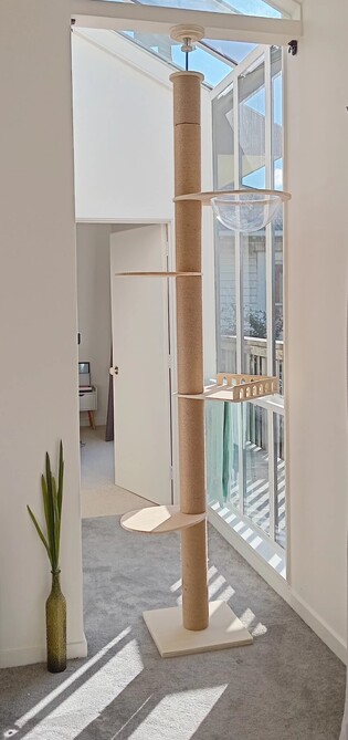Indoor Cat Tree