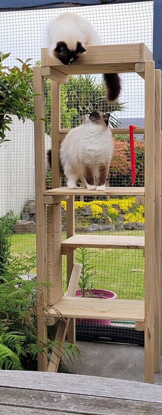 Outdoor Platform Playground