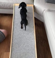 Height Adjustable Ramp