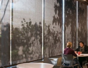 Importance of Openness and Color