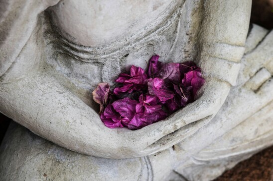 “Soft purple petals resting in the lap of a stone statue, capturing the essence of sacred ritual and spiritual reflection.”