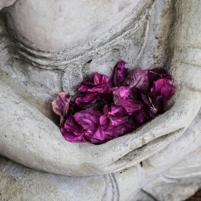 “Soft purple petals resting in the lap of a stone statue, capturing the essence of sacred ritual and spiritual reflection.”