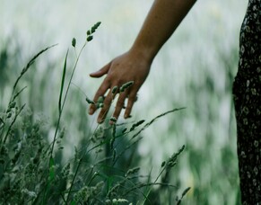 Papatūānuku&rsquo;s Whenua: