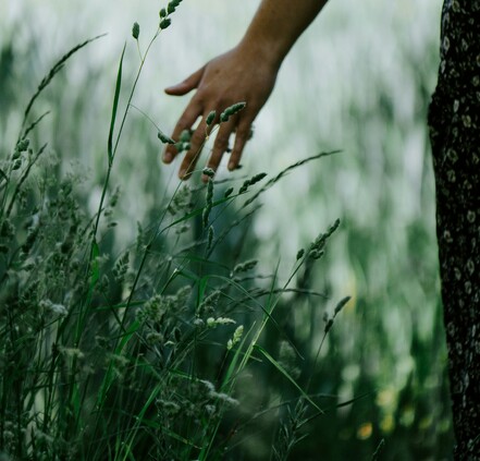 “A soft, mindful hand gliding through wild grass, evoking deep grounding and connection with Papatūānuku.”