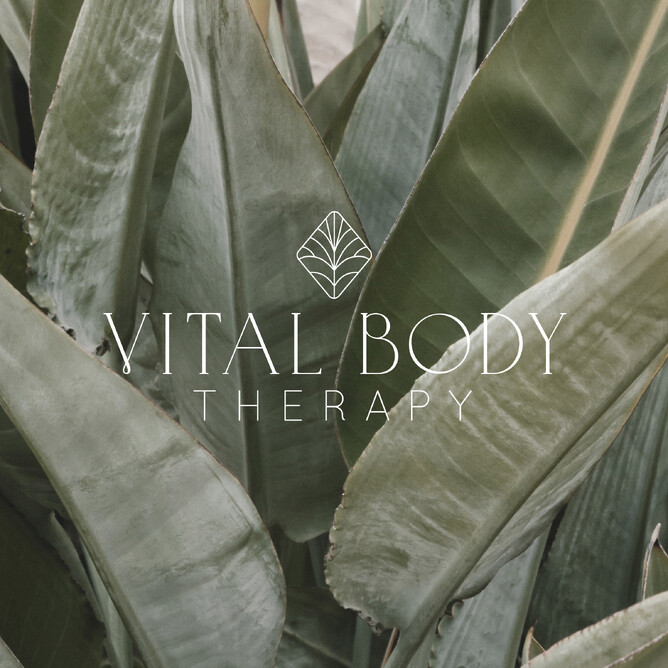 Branding for Vital Body Therapy. Creative Box Graphic Designer New Zealand