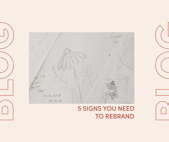 Image for blog post about the signs you need to rebrand. Pink & red colour with images of flower sketches.