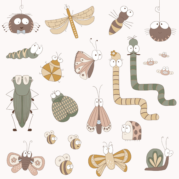 Digital illustration of bugs. By New Zealand illustrator Kelly Boxell, Creative Box
