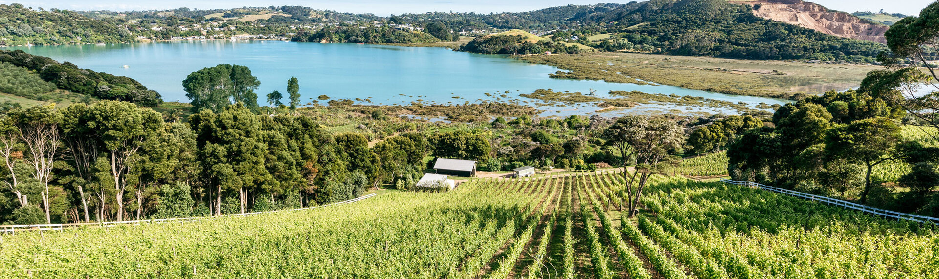 NZ Artisan Wines Online Frenchmans Hill Estate