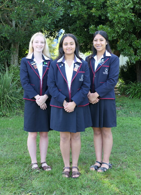 New Zealand School Girl Sex - Home | Hastings Girls High School