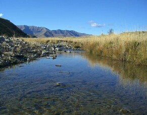The Manuherekia Voice: Spring &ndash; Manuherekia Catchment Group