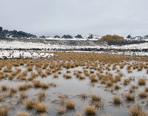 Thomsons Project &ndash; Spring Newsletter 2024