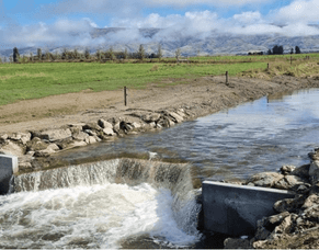 ORC Media Release: Thomsons Project