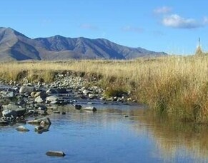 MCG Summer Newsletter