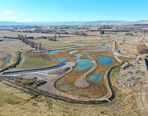 Celebrate World Wetlands Day at Orkney Wetland