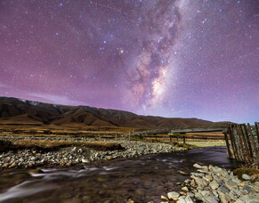 MCG Autumn Newsletter