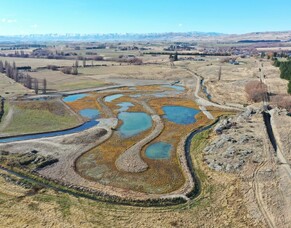 RNZ Interview: From muddy paddock to thriving wetland