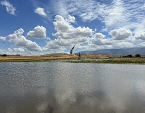 The Manuherekia Voice: Spring &ndash; Thomsons Project