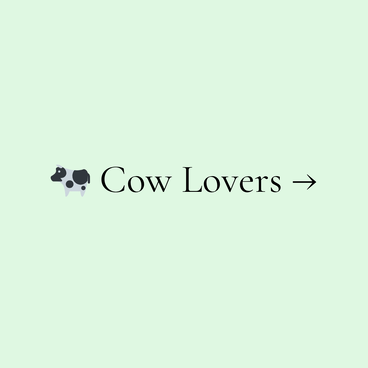 cow lover mugs from coffee and moo