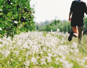 Mindfulness - Energy Levels