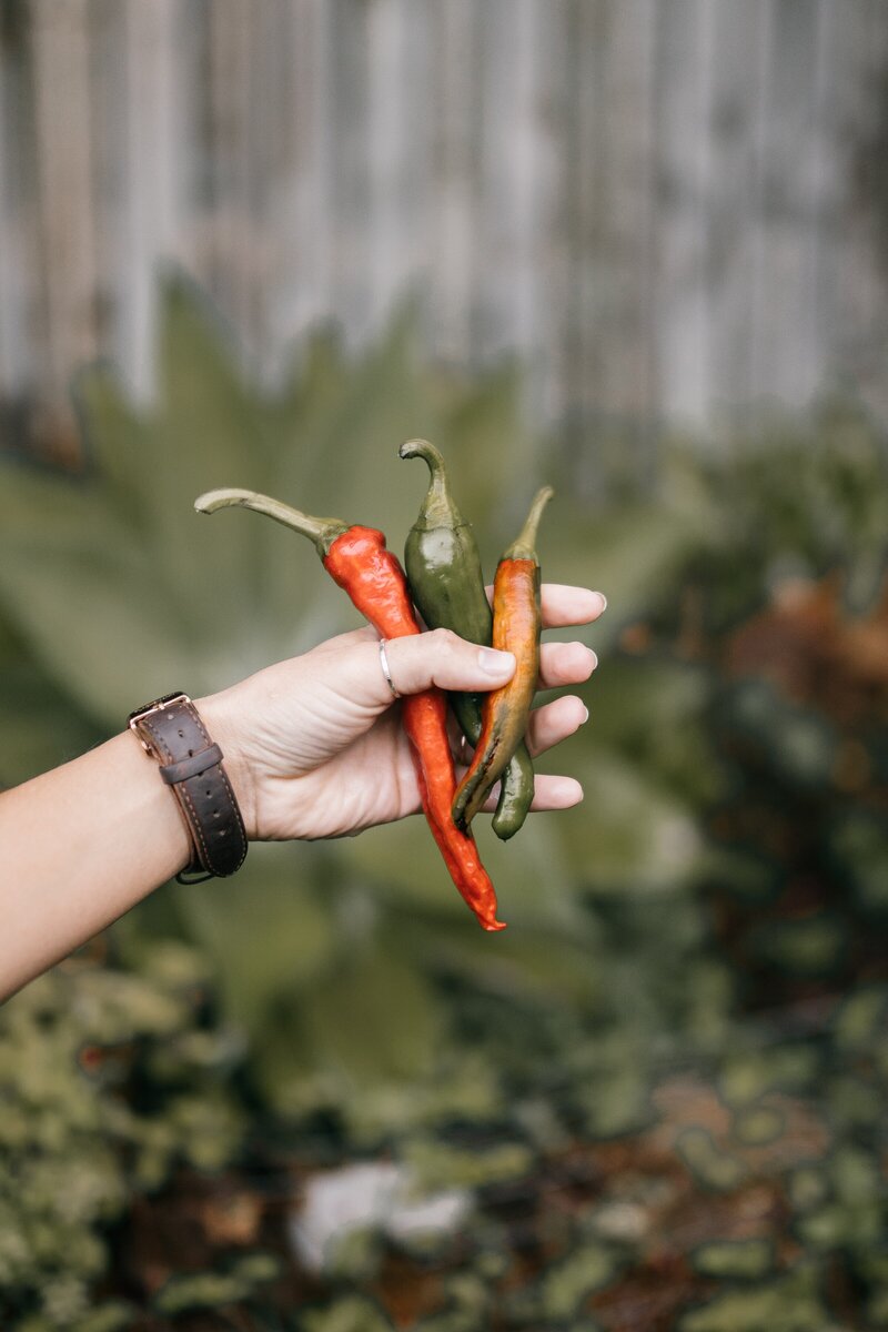 Recipe Tomato Chili Jam Flourish