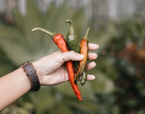 Recipe: Tomato Chili Jam