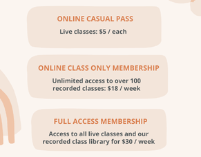 Online Class Pricing