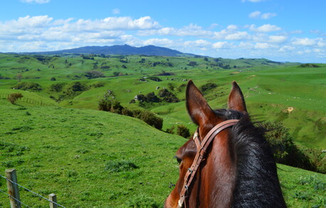 views rolling hills horse ride