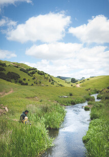 Beautiful stream