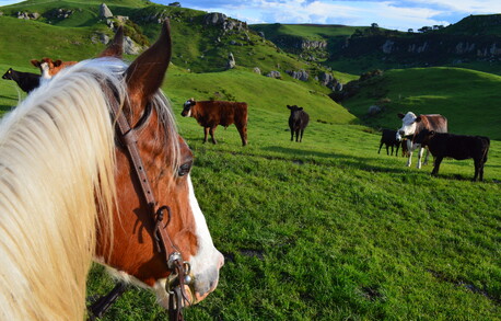 riding on a rolling farm