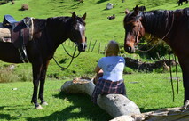 picnic with two horses