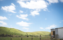 stone hill horse trek