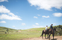 horse trekking at stone hill