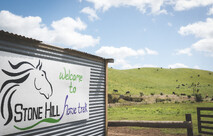 Welcome to Stone Hill horse trek