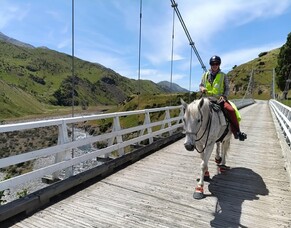 A close call on New Zealand roads