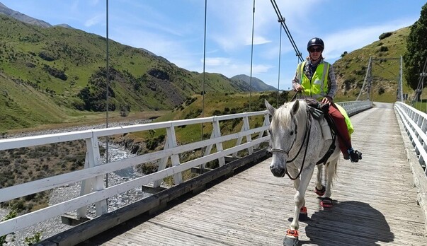 A close call on New Zealand roads
