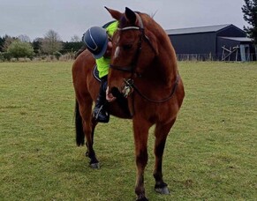 A heartwarming road encounter