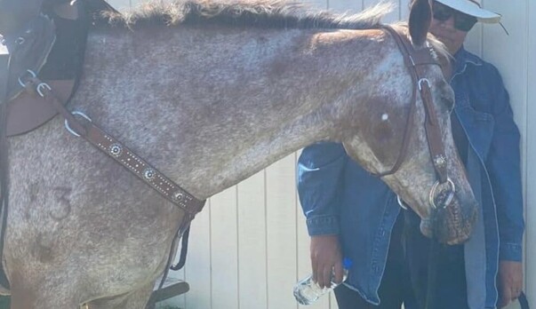 Life on Hokianga roads