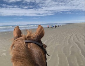 Lost access, lost safety