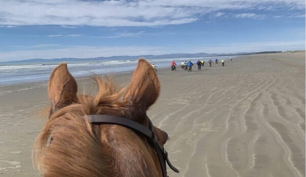 Lost access, lost safety