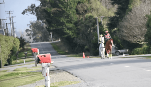 The road code and sharing the road