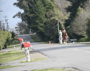 The road code and sharing the road