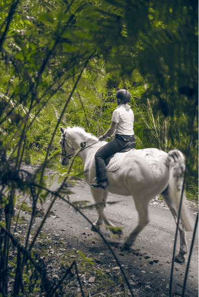 Danni & Kirby Photo taken by QEII National Trust. Location North Shore Riding Club, NZ