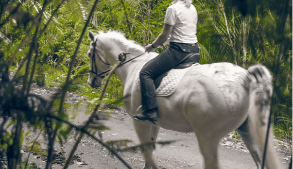 When a safe crossing isn&rsquo;t enough