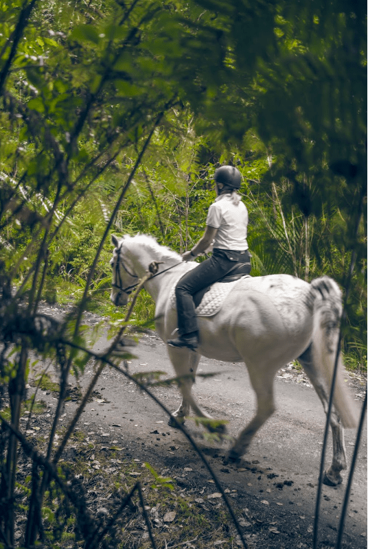 Danni & Kirby Photo taken by QEII National Trust. Location North Shore Riding Club, NZ